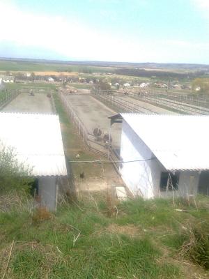 Прикрепленное изображение: Фото0101.jpg